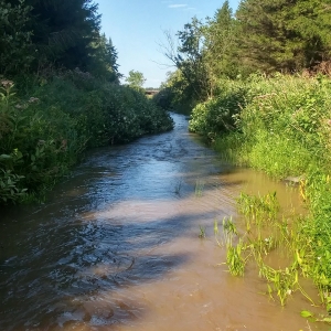 custom-Custom_Size___Corriveau_normal