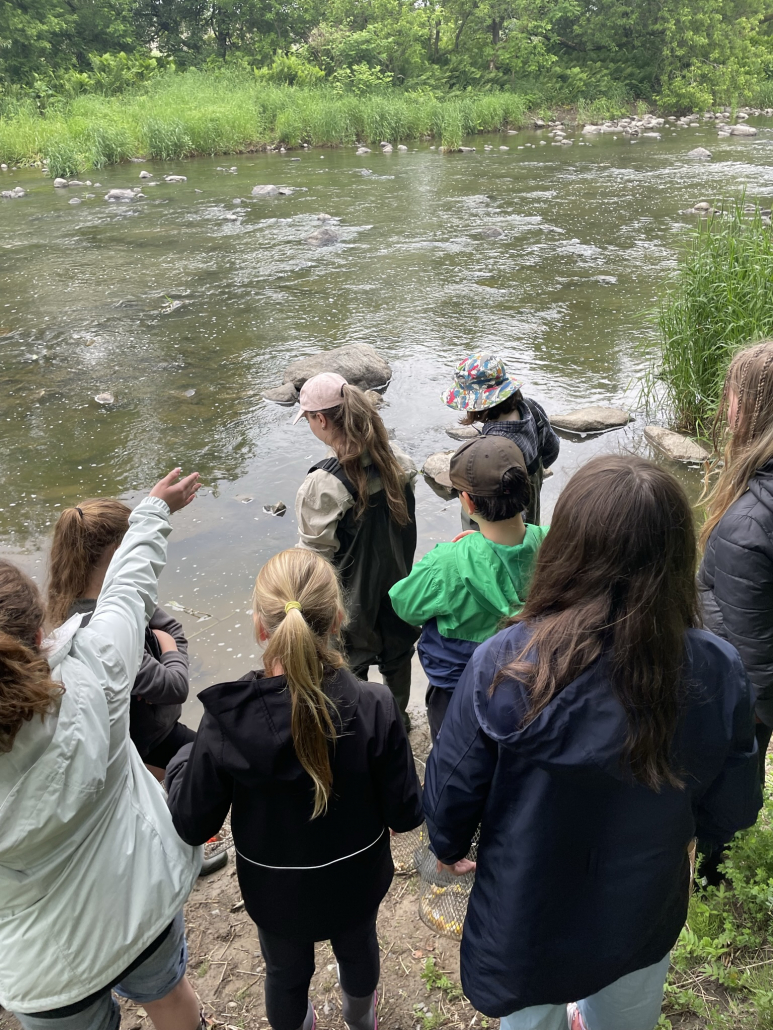 ruche_boyer_20230615(14)